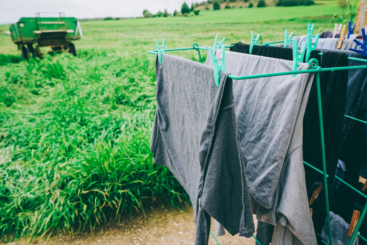 Natural Detergents: What Works, What Doesn’t, and How to Choose Wisely